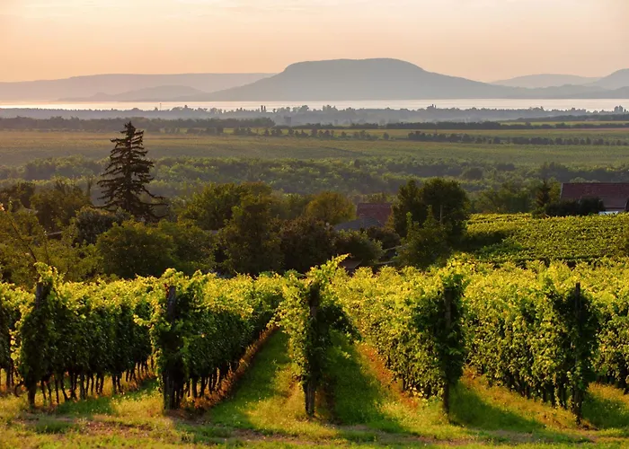 In 40852 Apartment Balatonmariafurdo